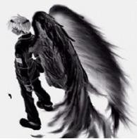 ���������TXTȫ������