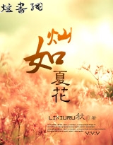 乘风入夏TXT全集封面