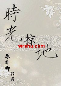 时光掠地TXT全集封面