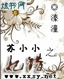 苏小小之妃错TXT全集封面