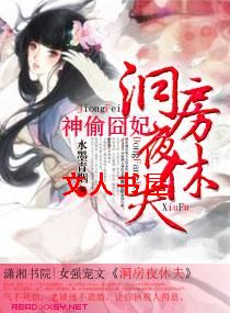 ��͵����,����ҹ�ݷ�