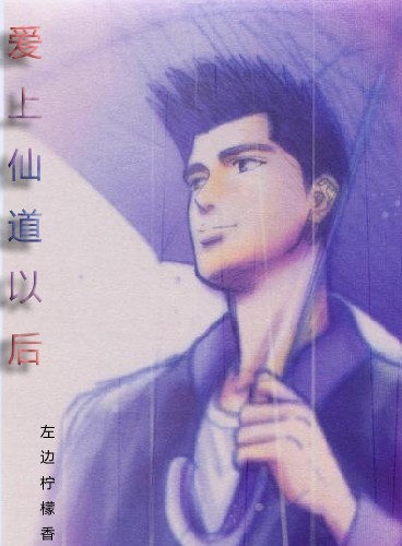 爱上仙道以后(原创SD穿越文)TXT全集封面