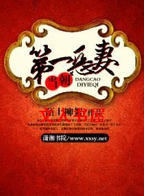 当朝第一恶妻TXT全集封面