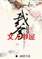 �ҵ��ǻ���TXTȫ������