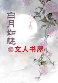白月如魅TXT全集封面