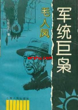 军统巨枭-毛人凤TXT全集封面