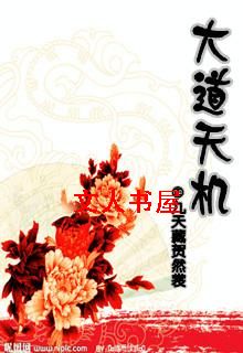 大道天机TXT全集封面