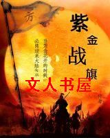 紫金战旗TXT全集封面