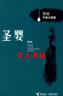 圣婴TXT全集封面