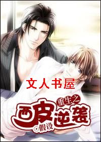 重生之西皮逆袭TXT全集封面