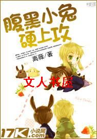 ����С��Ӳ�Ϲ�TXTȫ������