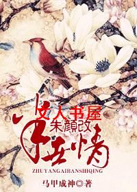 朱颜改 半世情TXT全集封面