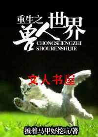 ����֮��������