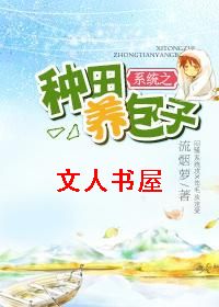 ϵͳ֮����������TXTȫ������