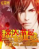 �������;TXTȫ������