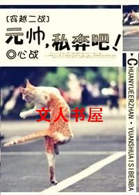 [��Խ��ս]Ԫ˧,˽���ɣ�TXTȫ������