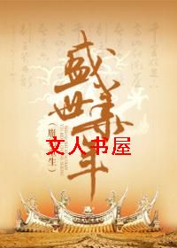 ʢ������(ط�i����)TXTȫ������