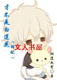 �Ų��ǰ�����(����)