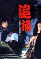 追捕TXT全集封面