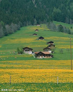 乡村风流事TXT全集封面