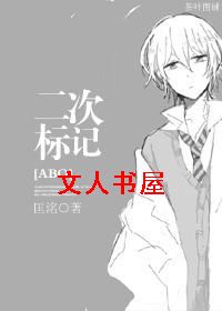 二次标记TXT全集封面