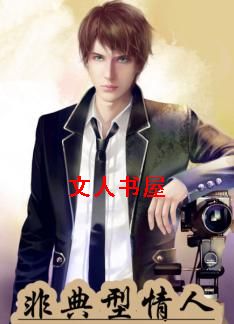 非典型情人TXT全集封面