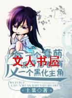 ÿһ�����ȷ��ɱ�����һ���������TXTȫ������