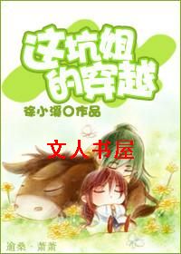 这坑姐的穿越TXT全集封面