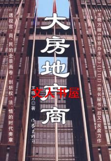 大房地产商TXT全集封面