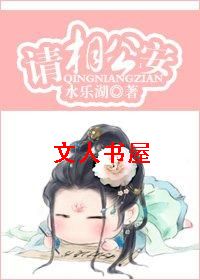 请相公安TXT全集封面