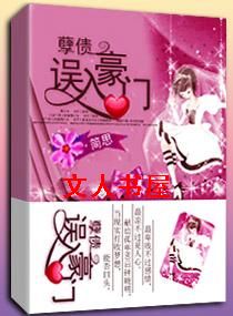 孽债之误入豪门TXT全集封面