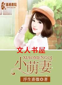 ���Ⱦָ:����С����TXTȫ������