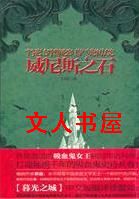 威尼斯之石TXT全集封面