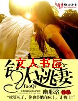 ��ʯ����TXTȫ������