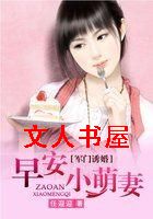 �����ջ�:�簲С����TXTȫ������