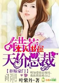 �ܼ޺���,��������ܲ�TXTȫ������