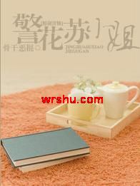 警花苏小姐TXT全集封面