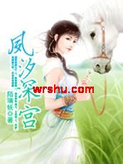 宫廷大战:夙汐深宫TXT全集封面