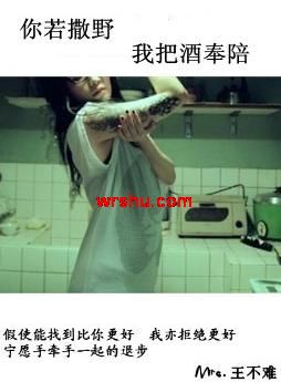 你若撒野,我把酒奉陪(高干)TXT全集封面