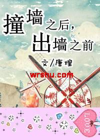 ײǽ֮��,��ǽ֮ǰ