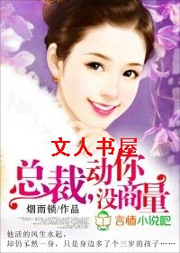 总裁,动你没商量TXT全集封面