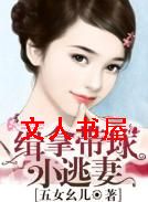 ���ô���С����TXTȫ������