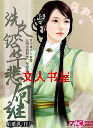 洗尽铅华悲何继TXT全集封面