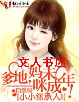 СС�̳��ˢ�:����,����δ���꣡TXTȫ������