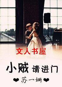 小贼请进门TXT全集封面