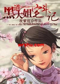 黑道大姐宅斗记TXT全集封面