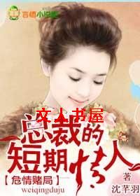 危情赌局,总裁的短期情人TXT全集封面