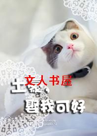 土豪娶我可好TXT全集封面