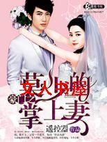 豪门之莫少的掌上妻TXT全集封面