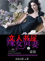 豪嫁之辣女贤妻TXT全集封面